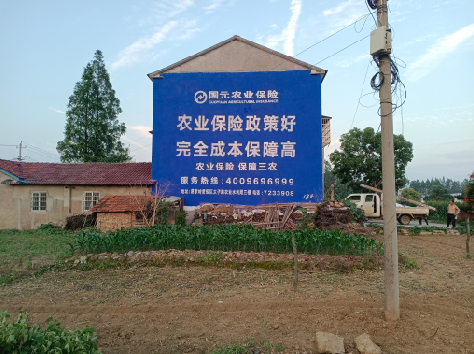 百色墙体广告的优劣势你知道吗？