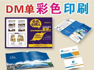 百色单页印刷，色彩搭配简单。